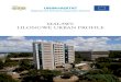 Malawi: Lilongwe urban profile - Zaragoza · Poverty reduction is the Malawi Government’s overriding development objective as espoused in the Malawi Growth and Development Strategy