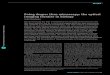 Going deeper than microscopy: the optical imaging frontier ...fulltext.calis.edu.cn/nature/nmeth/7/8/nmeth.1483.pdf · Optical microscopy has been a fundamental tool of biological