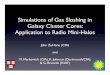 Simulations of Gas Sloshing in Galaxy Cluster Cores ...Simulations of Gas Sloshing in Galaxy Cluster Cores: Application to Radio Mini-Halos John ZuHone (CfA) and M. Markevitch (CfA),