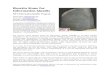 Rosetta Stone for - Information Qualitymitiq.mit.edu/MITIQ/RS4IQ/RS4IQ_Feb2012v2.pdfanniversary of his coronation…The decree is inscribed on the stone three times, in hieroglyphic