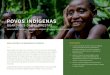 POVOS INDÍGENAS - Rainforest · As culturas indígenas, os sistemas de crenças e os meios de subsistência estão muitas das vezes profundamente interligados com os ecossistemas