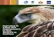 PAGTUBAG SA ILEGAL NGA PAGPAMALIGYA ... • Ang pagpamaligya sa local nga lugar sa Mindanao, ug Malaysia. Pero dili kini ginabaligya sa mga kalye Giant golden-crowned flying fox (Haliastur