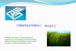Bushehr University of Medical Sciences Department ......Heterophyes heterophyes وڎ٩ڃقتڇ وڎ٩ڃقتڇ وڍكاڎ٩ڃقتڇ ڋفاپڎت ٻاځ 30 ات گ ر یرتطکاخ