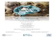 Meccanismi neurali - unito.it ... 2017/09/25 ¢  Meccanismi neurali Tra filosofia e neuroscienza 12-13