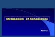 METABOLISME LANJUT METABOLISME XENOBIOTIC (Obat, …chanif.lecture.ub.ac.id/files/2019/09/METABOLISME-XENOBIOTIX.pdf · METABOLISME LANJUT METABOLISME XENOBIOTIC (Obat, Racun, BTM)