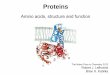 Proteins KBKA05 2013 · 2016. 1. 21. · • Proteins are polymers constructed from 20 α–amino acids. • The 20 amino acids differ in their side chains: polarity and charge •
