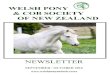 WELSH PONY & COB SOCIETY OF NEW ZEALAND...Ph 06 844 2610 jjkids@xtra.co.nz Sire Rating Convenors South Island Sire Rating Convenors Willow Trophy Adrianne Lill-Hey Julie Bagrie P O