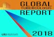 TUBERCULOSIS REPORT - WHO€¦ · GLOBAL TUBERCULOSIS REPORT 2018 Acknowledgements This global TB report was produced by a core team of 17 people: Laura Anderson, Annabel Baddeley,