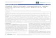 RESEARCH ARTICLE Open Access Flexible bronchoscopic ...€¦ · RESEARCH ARTICLE Open Access Flexible bronchoscopic management of benign tracheal stenosis: long term follow-up of