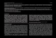 Patterning the ascidian nervous system: structure, expression and … · Annamaria Locascio1,*, Francesco Aniello1,*, Alessandro Amoroso1, ... ‡Author for correspondence (e-mail: