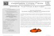Vegetable Crops Factscemerced.ucdavis.edu/newsletters/March_200623099.pdf · 2006. 3. 17. · The tomato psyllid, Paratrioza cockerelli, also known as the potato psyllid has been