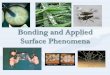 Bonding and Applied Surface Phenomena 25-3...Mechanisms of Bonding II. Chemical Bonding Cohesion Adhesion Factors affecting: 1. Degree of proximity.2. Surface contamination and adsorbed