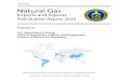 DOE/FE- 0621 Natural Gas - Energy.gov...DOE/FE- 0621 Prepared by: U.S. Department of Energy Office of Regulation, Analysis, and Engagement Division of Natural Gas Regulation Natural
