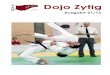 Dojo Zytig 1301 · 2013. 11. 17. · Dojo Zytig Seite 4 Am 09. und 10.03.2013 traf sich die Elite des Schweizer Ju-Jitsu in Neftenbach zu den Schweizermeisterschaften. Erstmals wurde