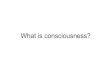 What is consciousness? - Neuroinformaticskiper/qualia.pdfConsciousness = Qualia • The critical meaning of consciousness is: the having of states with a qualitative character („qualia“)