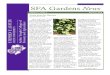 SFA Gardens Newssfasu.edu/docs/sfa-gardens/volume-02-issue-02-summer-2016.pdfinsecticide use, as birds, spiders, toads, wasps and lizards all need live, healthy insects to dine on