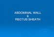 ABDOMINAL WALL & RECTUS SHEATH ... Rectus Sheath Is a long fibrous sheath Encloses the rectus abdominis
