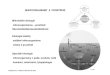 MIKROORGANISMY A PROSTŘEDÍ Mikrobiální ekologie ředíold.botany.upol.cz/prezentace/sedlarova/MB_ekologie_t.pdf · Neutralismus-organismy se navzájem neovlivňují (existence,