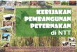 Disampaikan oleh Kepala Dinas Peternakan Provinsi Nusa ... ... manusia peternakan, baik peternak maupun pengusaha peternakan. 4. Peningkatan kualitas data dan informasi peternakan