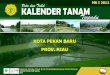 KOTA PEKAN BARU PROV. RIAUriau.litbang.pertanian.go.id/.../stories/PDF/pekanbaru.pdf · 2016. 4. 5. · KOTA PEKAN BARU MK I 2012 2012. Tim Penyusun Pengarah : ... seperti krisis