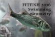Swimming Respirometry FITFISH 2016 · Preparing for the experiments Measurement of water velocity in all the section of the swimming tunnel (flowmeter) water velocity (cm/s): Flow