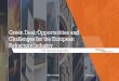 Green Deal: Opportunities and Challenges for the European ...Green Deal: Opportunities and Challenges for the European Refractory Industry PRE General Assembly Video conference 04/06/2020