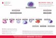 BLOOD CELLS - The Leukemia & Lymphoma Society of Canada · 2017. 1. 27. · blood cells for circulation in the blood. Stem cells are multipotential cells (capable of developing into