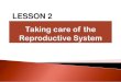 Useful and harmful materials · 2020. 12. 1. · OBJECTIVES: Suggest ways of taking care of the reproductive organs. Explain the importance of reproductive health