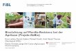 Biozüchtung auf Monilia-Resistenz bei der Aprikose (ProjektAbBio) Lebleu Aprikose.pdf · 2018. 7. 31. · • Folientunnel System VOEN (8.5 x 70 m) • 1 Reihe ohne Witterungsschutz