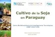 Cultivo Soja en ParaguayLa soja (GlycinemaxL. Merril) es una especie de la familia Fabaceae cultivada por semillas, de medio contenido en aceite y alto en proteína. El grano de soja
