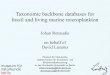 Taxonomic backbone databases for fossil and living marine ... · •Diversity and climate strongly correlated (raw ρ=.92, detrended r=.6, p