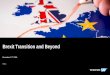 Brexit Transition and Beyond · 2020. 12. 17. · SAP notes 2766031, 2770937, 2785653 enable that for GB company codes EU VAT fields still appear in posting transactions and GB VAT