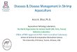 Diseases & Disease Management in Shrimp Aquaculture · 2020. 11. 19. · Diseases & Disease Management in Shrimp Aquaculture Arun K. Dhar, Ph.D. Aquaculture Pathology Laboratory
