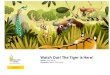 Author: Sejal Mehta Watch Out! The Tiger is Here! · 2021. 1. 2. · Author: Sejal Mehta Illustrator: Rohan Chakravarty. It's not easy being a tiger. Yes, tigers are beautiful and