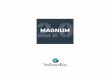 MAGNUM - Ceramica Valsecchia · characteristics, this is the ideal choice for residential and commercial outdoor areas. MAGNUM. MAGNUM 2.0 3 FACILE E VELOCE DA POSARE QUICK AND EASY