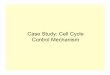 Case Study: Cell Cycle Control Mechanism · 2011. 9. 26. · The cell cycle is the ... Universal Control Mechanism for the Eukaryotic Cell Cycle Cdk1 CycB DNA synthesis P P. X Y X