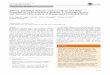 Efficacy and Safety of Ferric Carboxymaltose and Other … · 2017. 4. 10. · SYSTEMATIC REVIEW Efﬁcacy and Safety of Ferric Carboxymaltose and Other Formulations in Iron-Deﬁcient