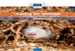 Caring for animals · 2018. 7. 24. · vertebrate animals used for experimental and other scientific purposes adopted a revised Appendix A to that Convention, which set out guidelines