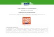 Egyszerű programok - European Commissionec.europa.eu/research/participants/portal/doc/call/... · A benyújtott konkrét PROGRAMOK/pályázatok megnevezése az Útmutatóban intézkedés