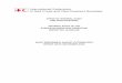 OFFICE OF INTERNAL AUDIT AND INVESTIGATIONS INTERNAL …media.ifrc.org/ifrc/wp-content/uploads/sites/5/2017/10/... · Office of Internal Audit and Investigations European migration