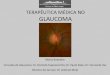 TERAPÊUTICA MÉDICA NO GLAUCOMA · Definição Terapêutica Médica no Glaucoma “Glaucoma define-se como uma perturbação da estrutura e da integridade funcional do nervo óptico