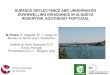 SURFACE REFLECTANCE AND UNDERWATER DOWNWELLING … Miguel_Potes.pdf · SURFACE REFLECTANCE AND UNDERWATER DOWNWELLING IRRADIANCE IN ALQUEVA RESERVOIR, SOUTHEAST PORTUGAL M. Potes,