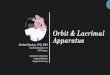 Orbit & Lacrimal Apparatus - WordPress.com...Orbit & Lacrimal Apparatus Khaleel Alyahya, PhD, MEd PhD Program Department of Anatomy College of Medicine King Saud University Resources