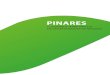 PINARES - Emprende Rural · PDF file 2013. 10. 18. · Pag. 32 Pag. 34 Pag. 36 Pag. 38 Pag. 40 Pag. 42 Pag. 45 Pag. 47 Pag. 49 Pag. 51 Pag. 67 Pag. 79 Pag. 97 Pag. 111 Pag. 127 Pag