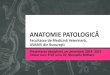 ANATOMIE PATOLOGICĂ patologica 2015.pdf · PDF file 2015. 12. 17. · Anatomie patologică „anatopat” 1. Tip de disciplină şi obiective majore 2. Timp alocat disciplinei (număr