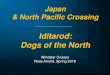Iditarod: Dogs of the North - Lakeside Institute of Theology€¦ · Iditarod National Historic Trail Primary Route Connecting Trails 1925 Serum Run Route Alaska Railroad Landing