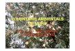 VOLUNTARIS AMBIENTALS DE MURO · 2020. 3. 30. · dirigides a la vigil ància i prevenci ó d’incendis forestals, aix í com altres tasques que impliquen la conservaci ó del medi