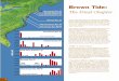 Brown Tide - PCF Designs.com · Cells ml-1 6 Brown Tide: The Final Chapter Twenty years ago, blooms of Aureococcus anophagef-ferens suddenly appeared in Long Island’s Peconic Bay,