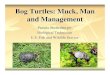 Bog Turtles: Muck, Man and Managementlancasterwatersheds.org/wp-content/uploads/Bog-Turtles.pdf · 2017. 1. 8. · Bog Turtle (Clemmys muhlenbergii) Facts There are over 100 known
