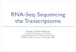 RNA-Seq: Sequencing the Transcriptome...sesB sesB CG15211 CG15211 CG15211 CG15211 Ant2 Ant2 sesB sesB sesB sesB _ 1000 _ 0 _ 1000 _ 0 ps RNAi S2 Untreated Splice Junction Reads Genomic